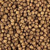 All Season Koifutter 6mm - schwimmendes Ganzjahres Futter für Koi und Teichfische für ausgewogene Fisch-Ernährung mit Fischöl, Astaxanthin (13,5 kg)
