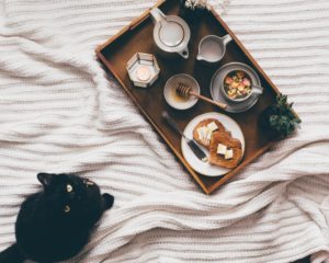 Schwarze Katze, die ein Frühstückstablett mit Essen neben sich hat.